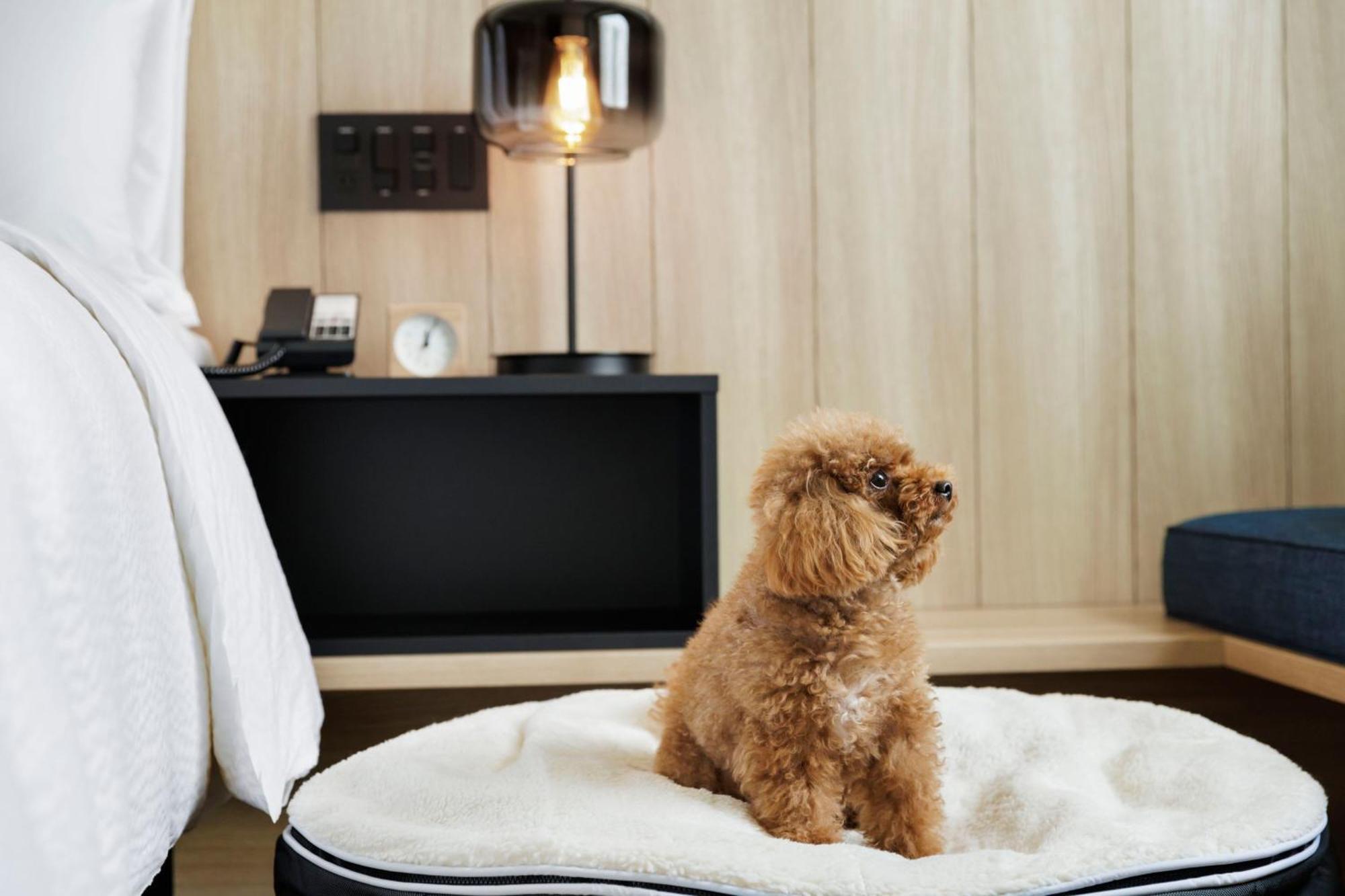 فندق Fairfield By Marriott Kyoto Minamiyamashiro المظهر الخارجي الصورة